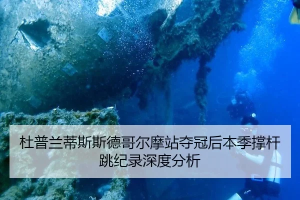 du-pu-lan-di-si-si-de-ge-er-mo-zhan-duo-guan-hou-ben-ji-cheng-gan-tiao-ji-lu-shen-du-fen-xi-2-529.jpg